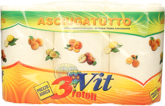 VIT CLASS ASCIUGATUTTO 2 ROTOLI 3V MAXI