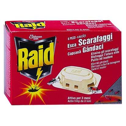 RAID ESCA SCARAFAGGI 6 PZ